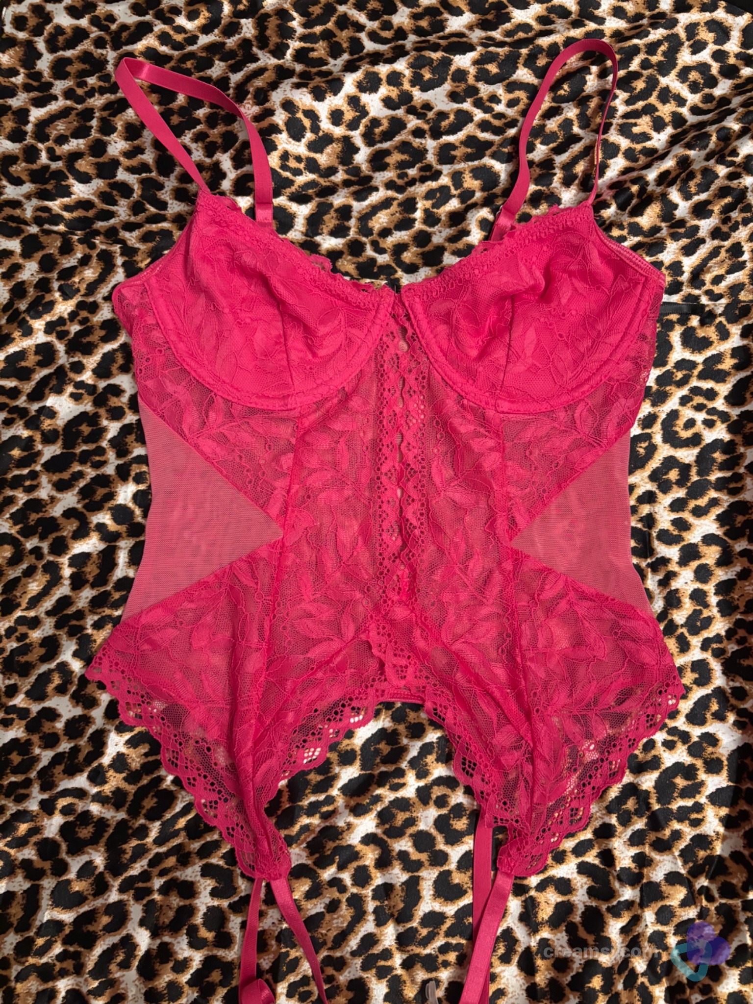 Spitzen-Dessous Feuer-Pink